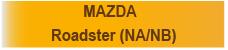 NA/NB�Хʡ�